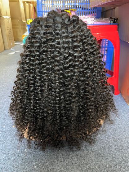 Natural Curly 4x4 HD Lace Closure Wig Natrual Black Can be dyed