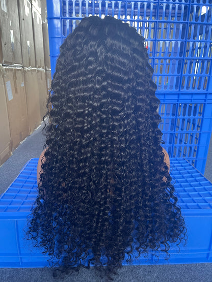 5x5 HD Lace Closure Wig Virgin Brazilian Hair Deep Curly