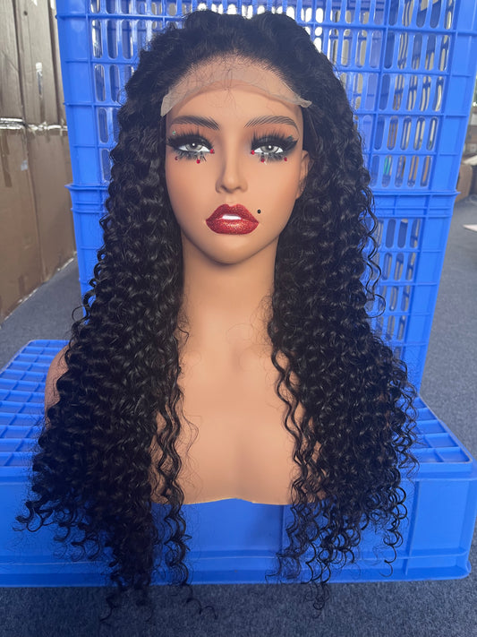 5x5 HD Lace Closure Wig Virgin Brazilian Hair Deep Curly