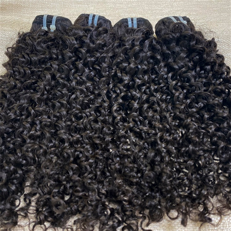 3Bundles/4bundles Raw Hair Natural Curly Brazilian Hair One Donor Hair Cuticle Aligned