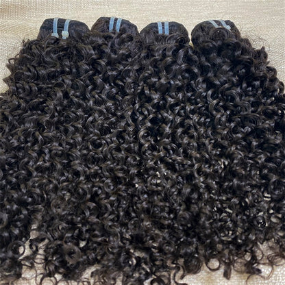 3Bundles/4bundles Raw Hair Natural Curly Brazilian Hair One Donor Hair Cuticle Aligned