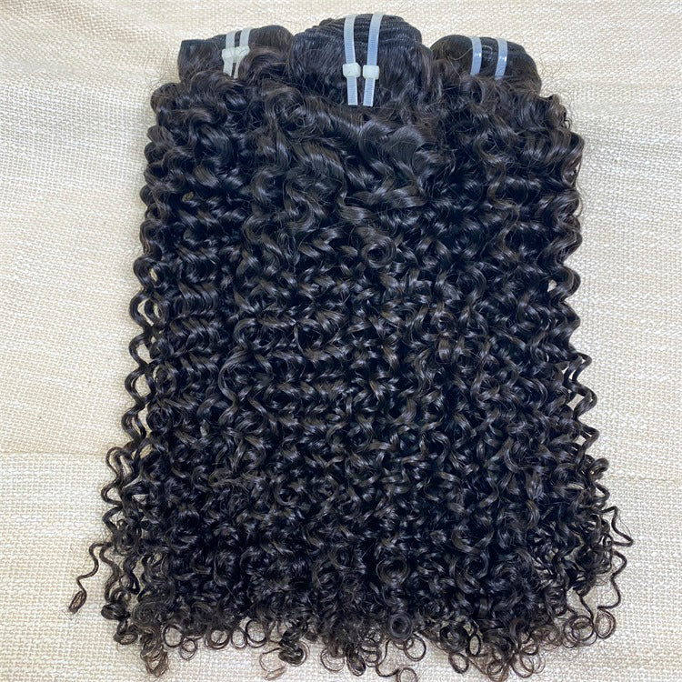 3Bundles/4bundles Raw Hair Natural Curly Brazilian Hair One Donor Hair Cuticle Aligned