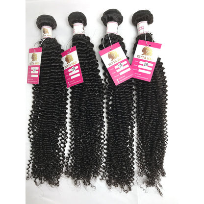 3Bundles/4bundles Kinky Curly 100% Virgin Brazilian Human Hair Weave