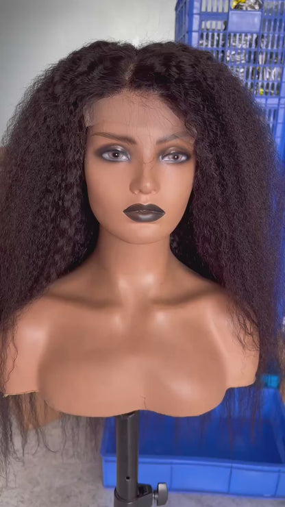 5x5 HD Lace Closure Wig Virgin Brazilian Hair Kinky Straight